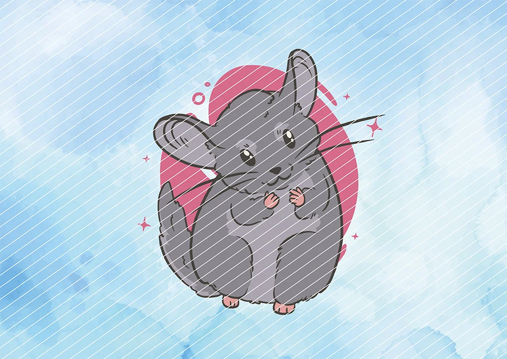 Grauer Chinchilla // Bügelbild